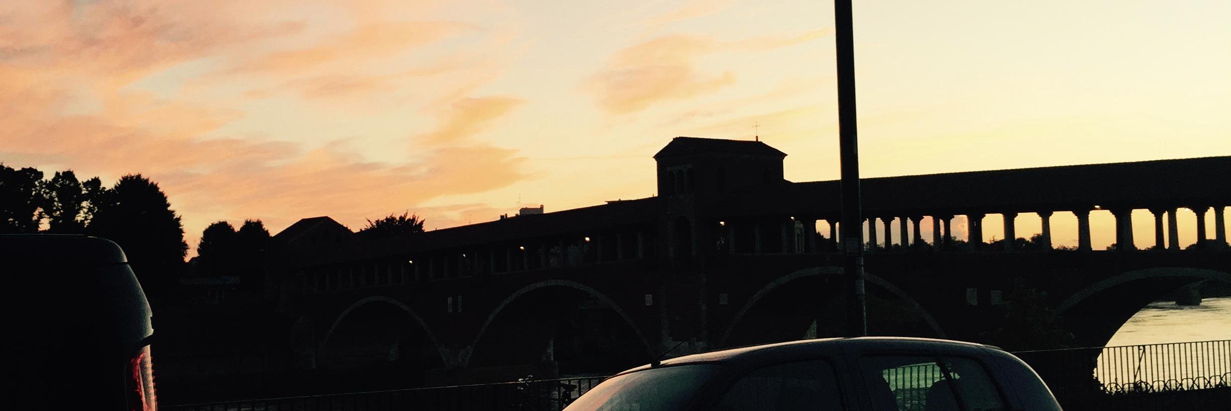 Raffaella Temporiti banner