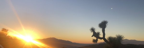 leebles Profile Banner