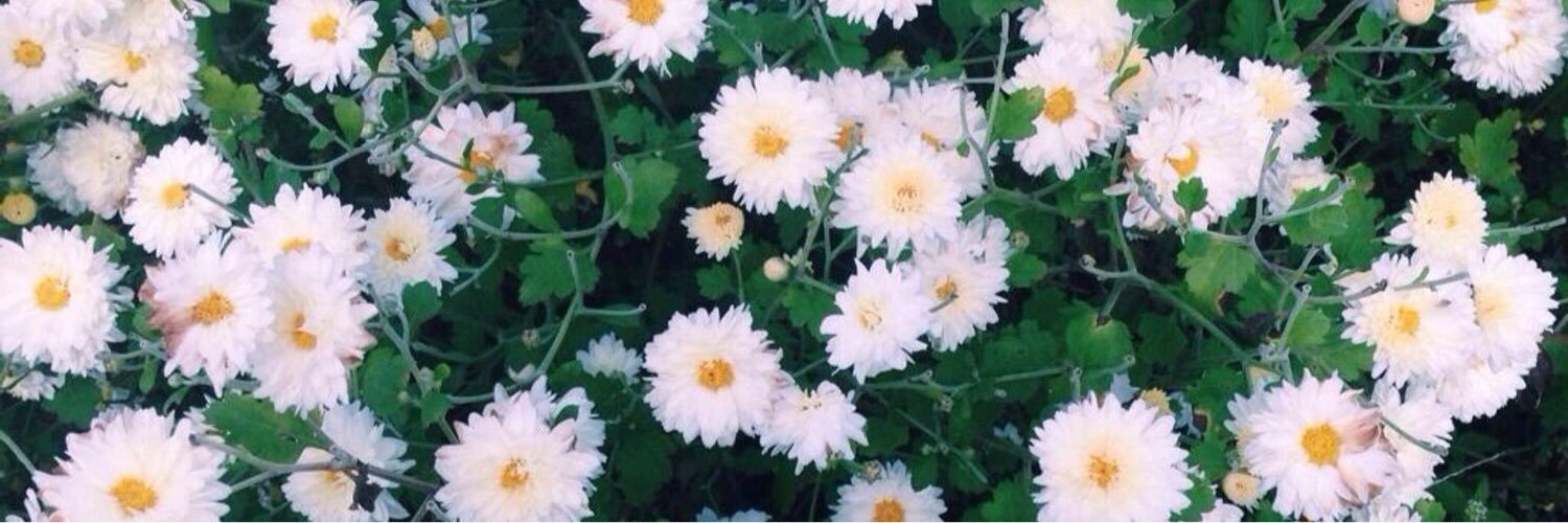 น้อนนกอ้วน🐡 banner