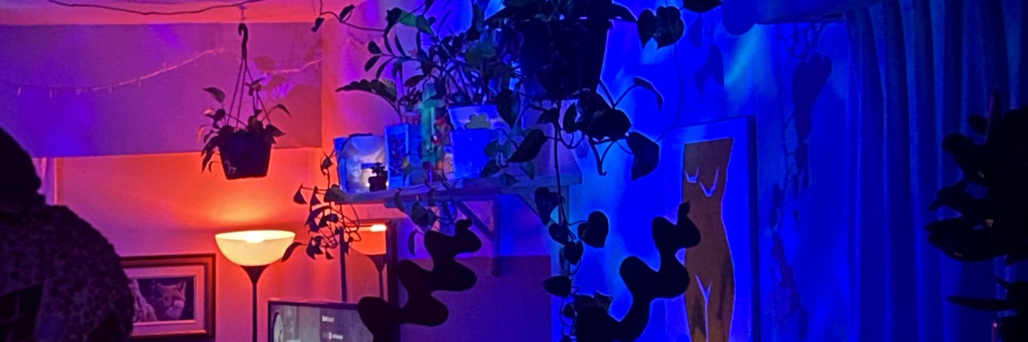 brennlee2_'s profile banner image