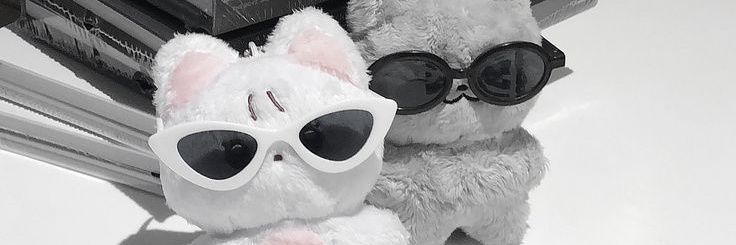 aleXa banner