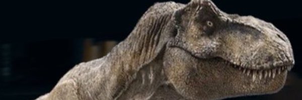 boboomf Profile Banner