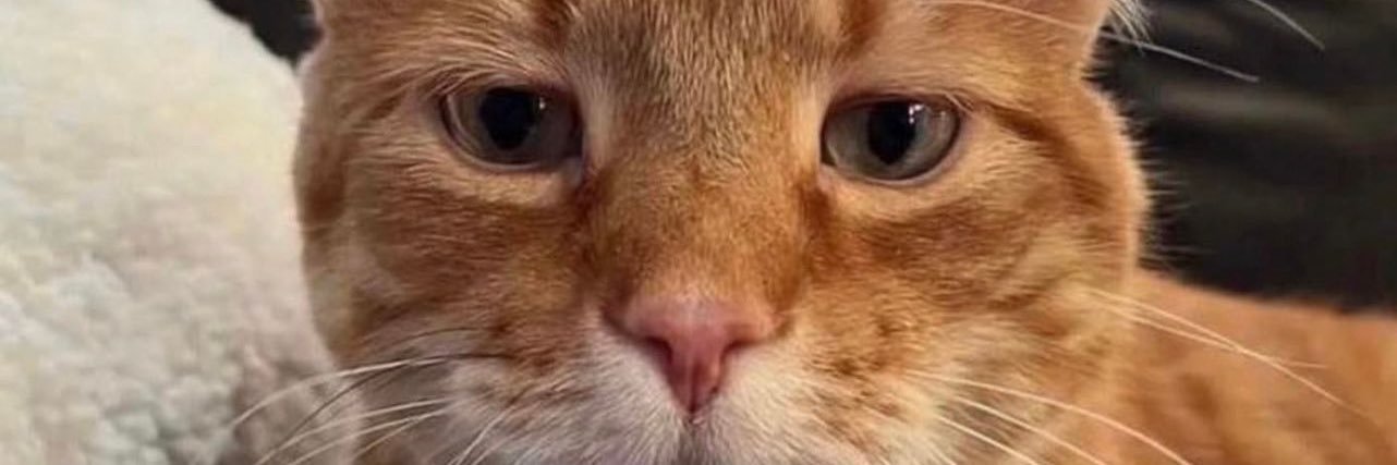 _Chrxnic_'s profile banner image