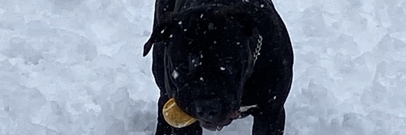 alekaaa_'s profile banner image