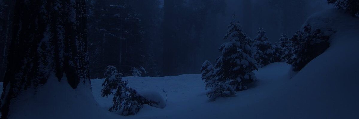 𝐋𝐨𝐫𝐝 𝐒𝐧𝐨𝐰.'s banner