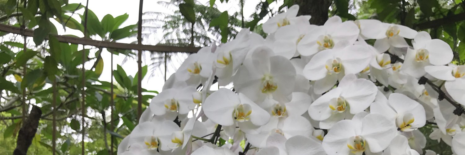 Debs Cooper 💫 banner