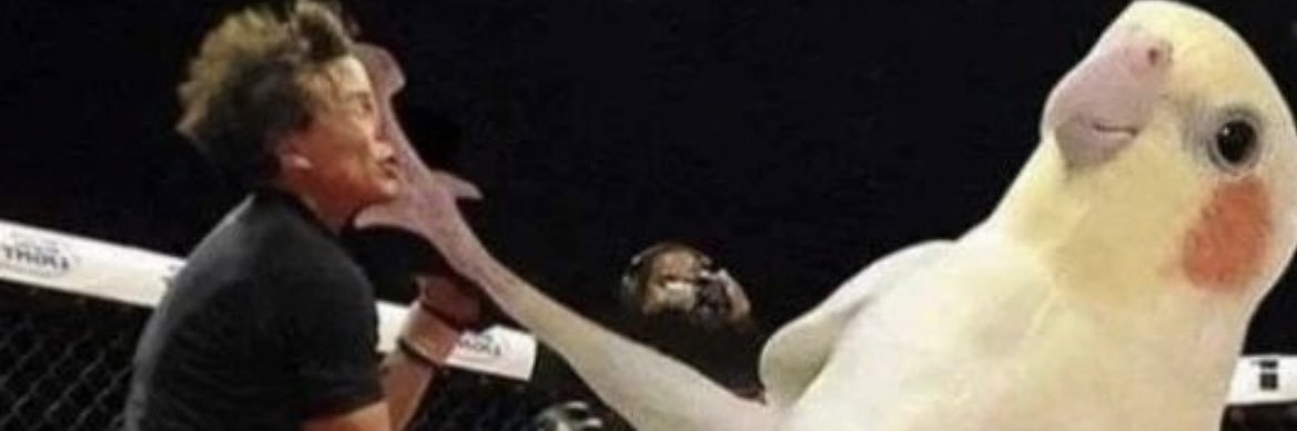 あずどり banner