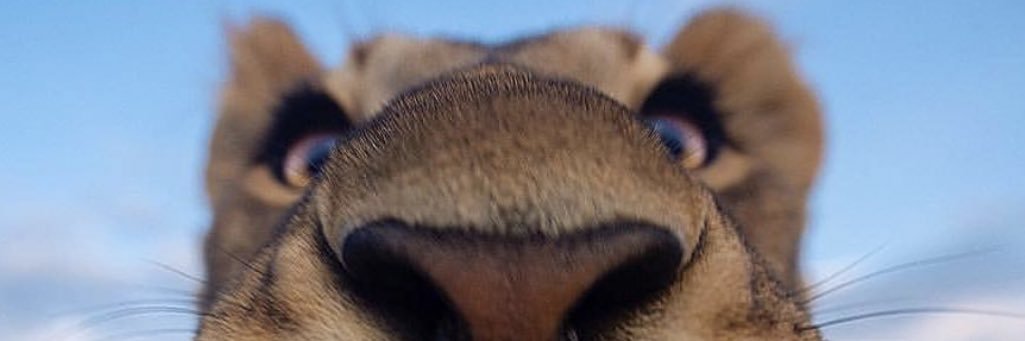 maxrittaaa's profile banner image