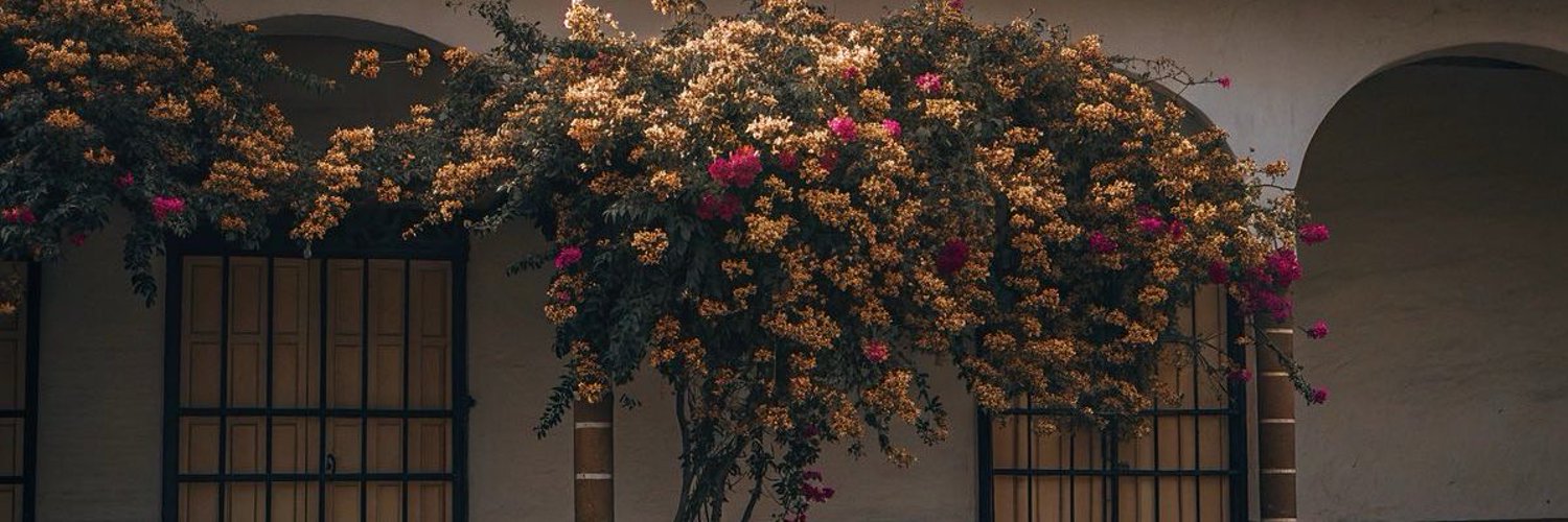 Dmiadiarii's profile banner image