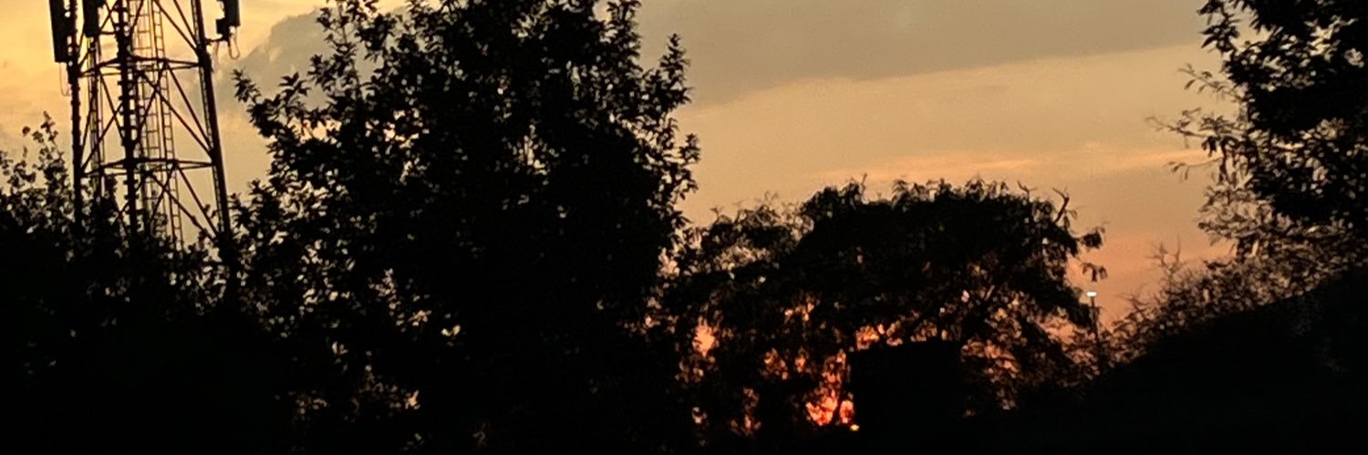 Alex Morales banner