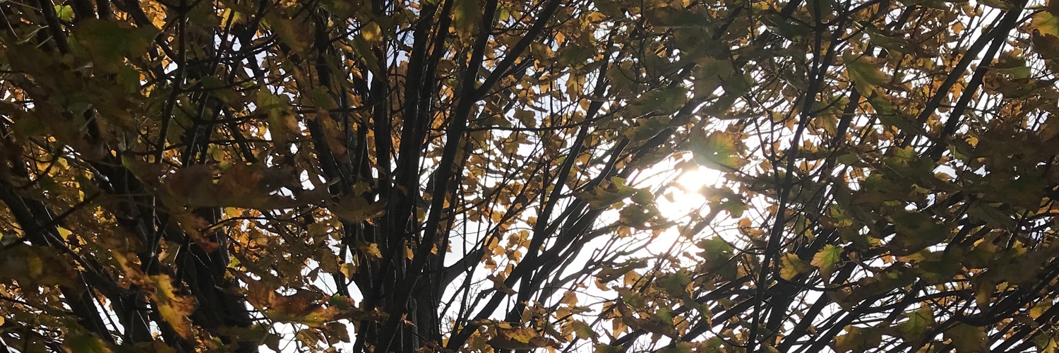 ink_joy's profile banner image