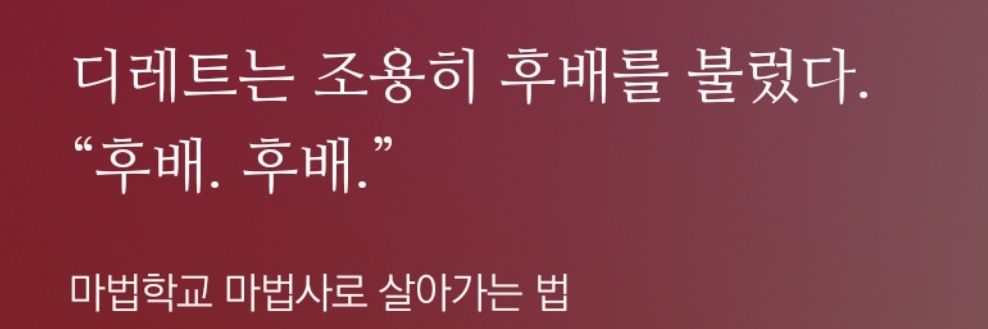 바치를 잊지마 banner