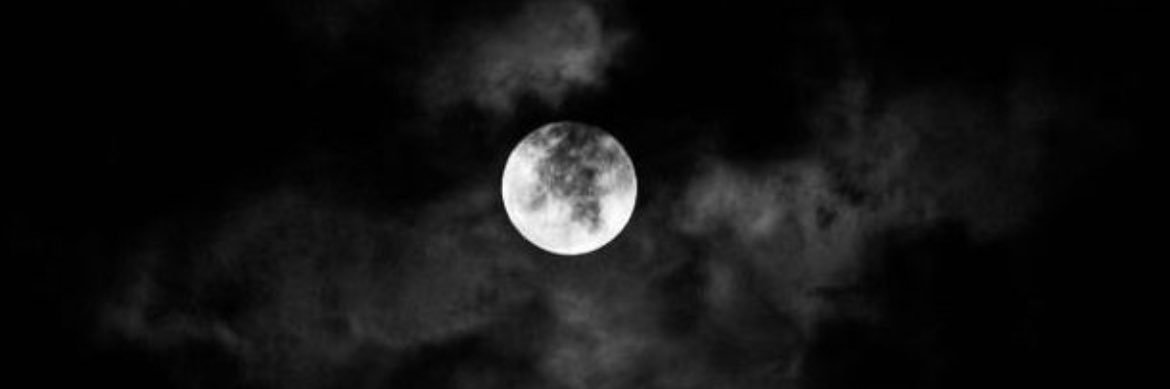 Renad abdullah banner