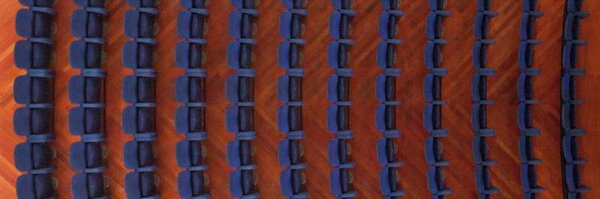 TalyCual_Pro Profile Banner