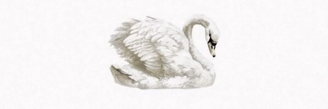 giwbsg's profile banner image