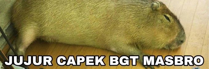 reki banner