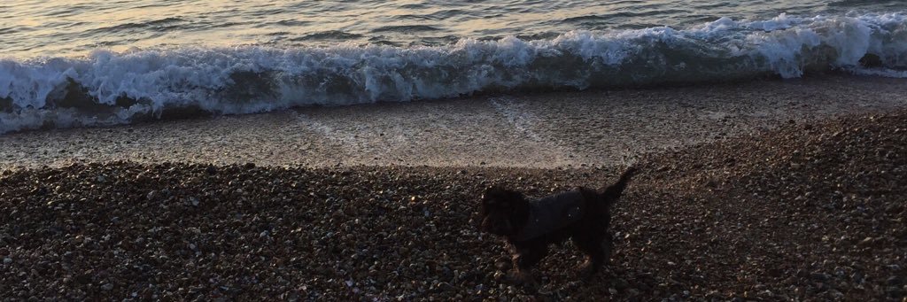 thisismills's profile banner image