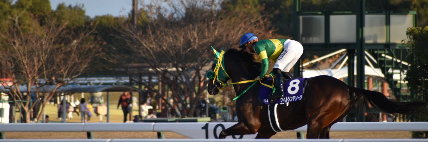 みみみ banner