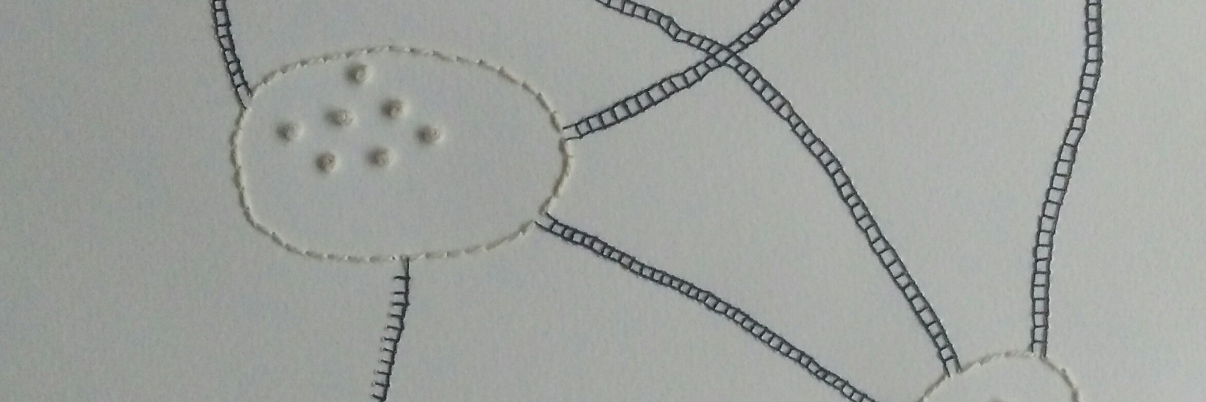 dentsdeloup's profile banner image