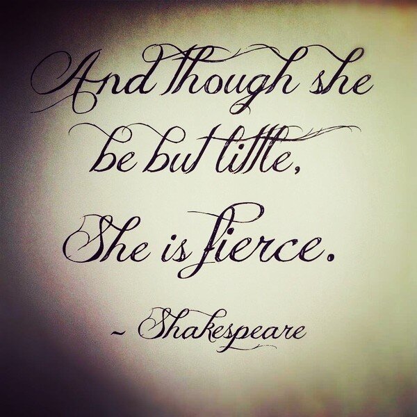 serenade these hoes . banner