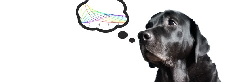 Carrie Shandra banner