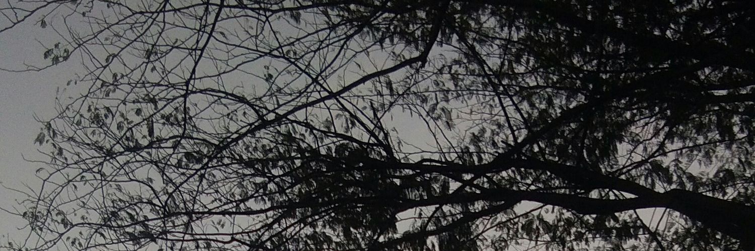 ptyvrnt's profile banner image