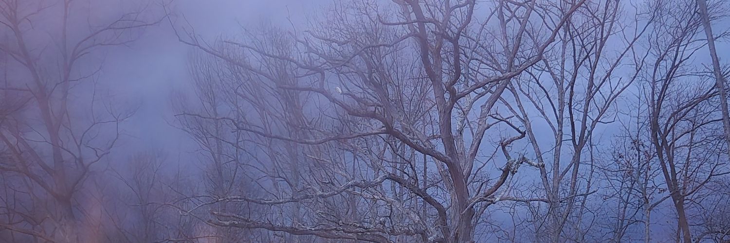 LynchCarso98643's profile banner image