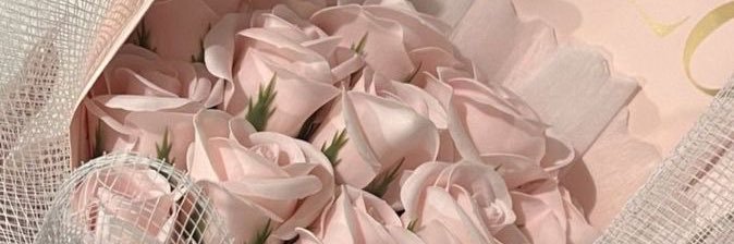 🍩 banner