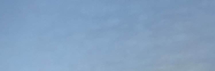 ano banner
