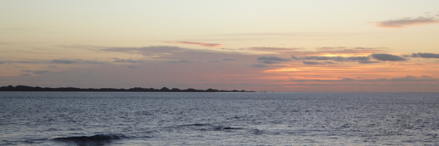 anneminta's profile banner image