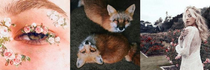 𝖤𝗅𝖺𝗂𝗇 𝖠𝗋𝖼𝗁𝖾𝗋𝗈𝗇 🝳 banner