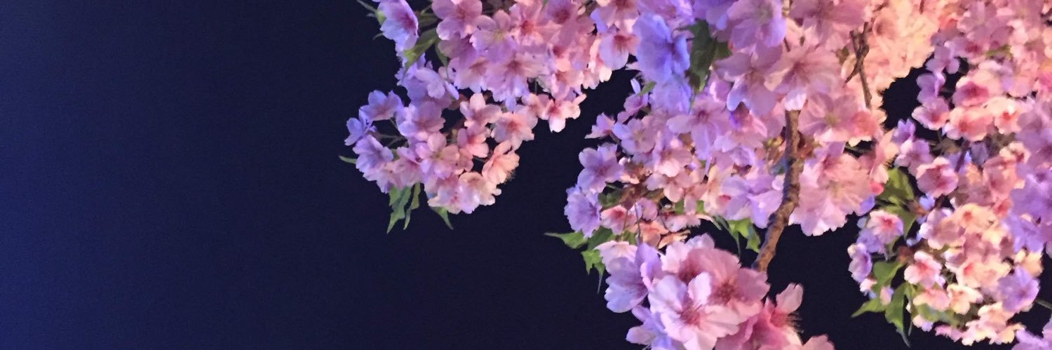 sub_105t's profile banner image