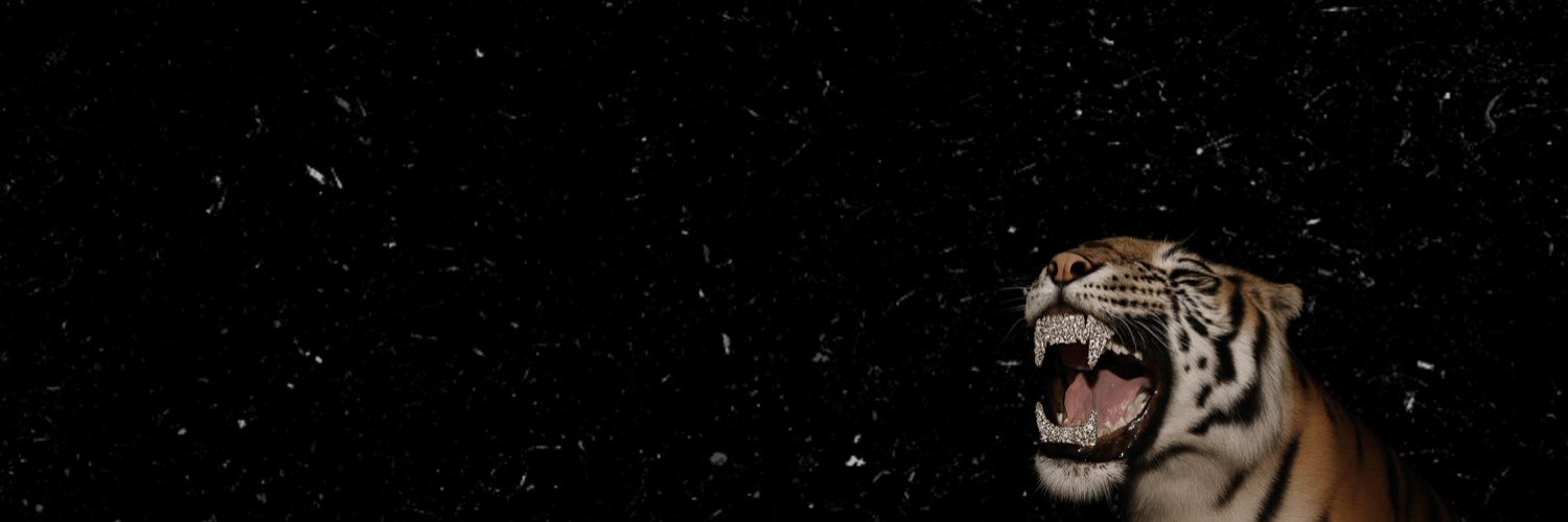 yiwang183's profile banner image