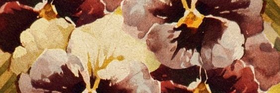 brenclaudiaa's profile banner image