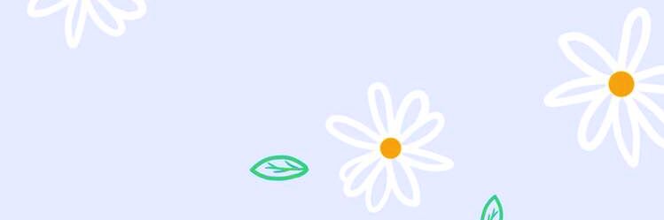 RismaRAD's profile banner image