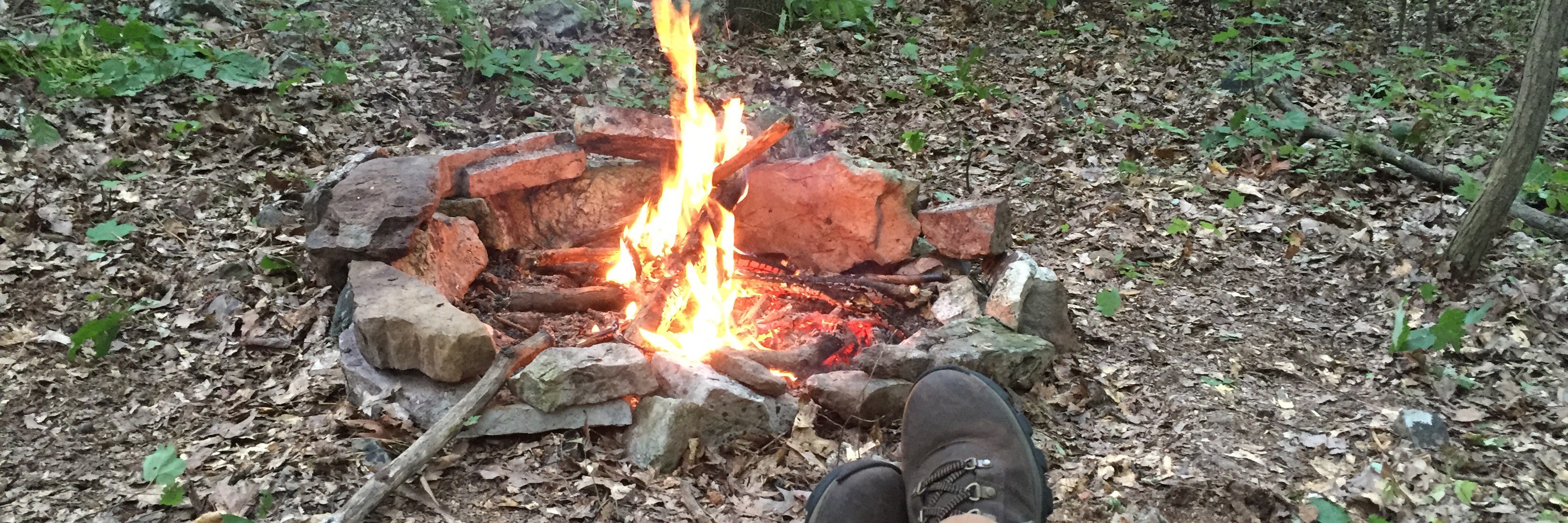 Dave Markowitz banner