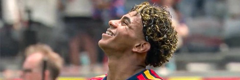 pokeneets's profile banner image