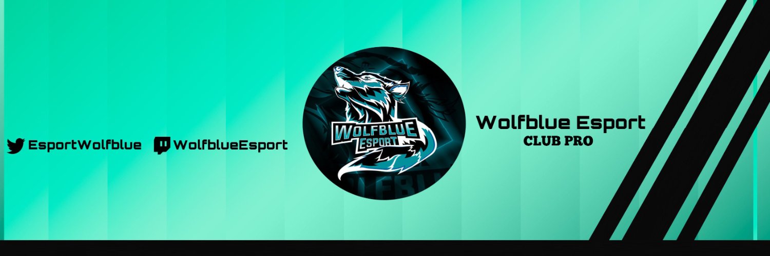 Wolfblue Esport Club pro banner