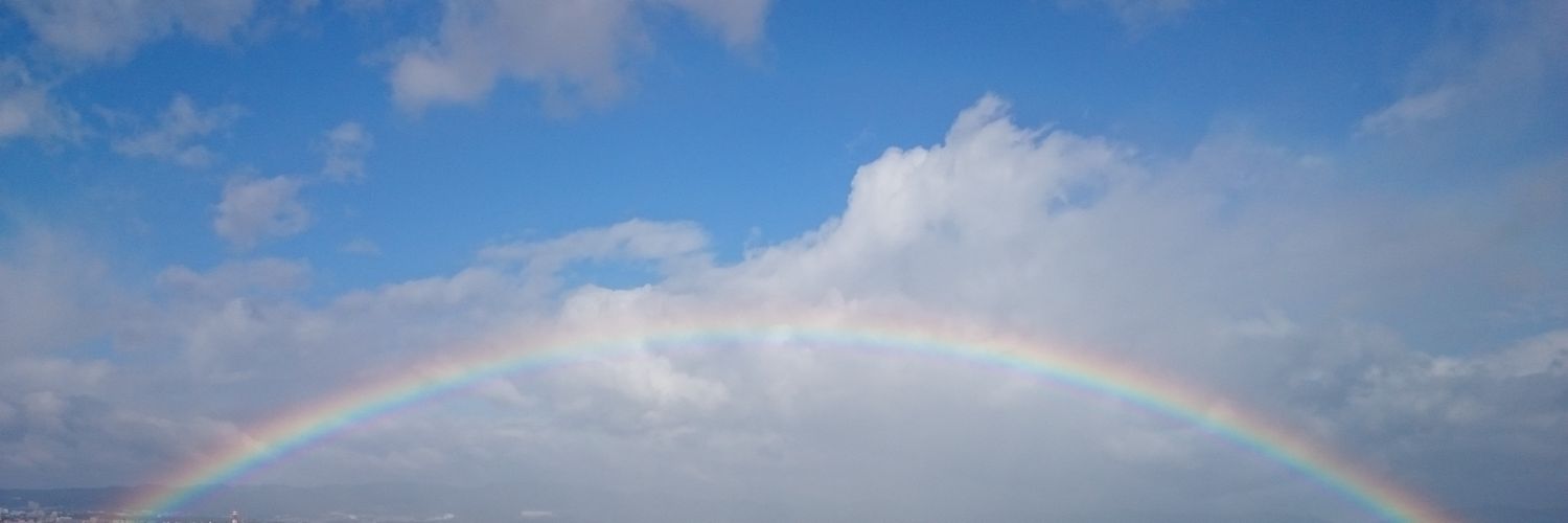 diceigniz's profile banner image