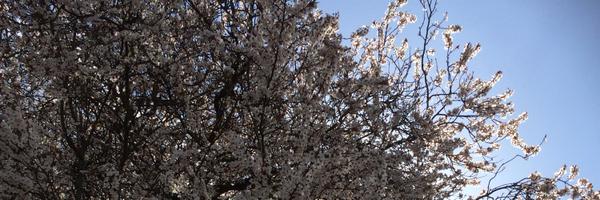 woolie31 Profile Banner