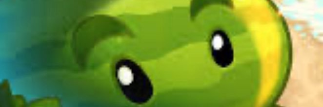 RedCapGreenCap banner
