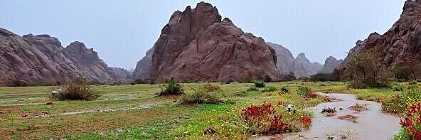 arar0555's profile banner image
