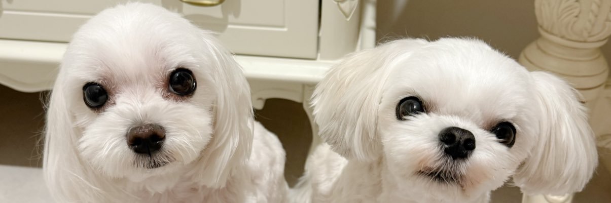 at9time's profile banner image