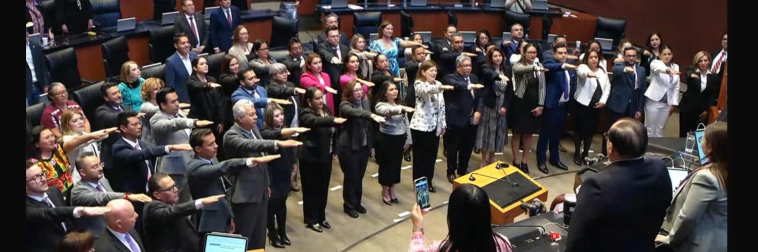 Alejandra Velarde banner