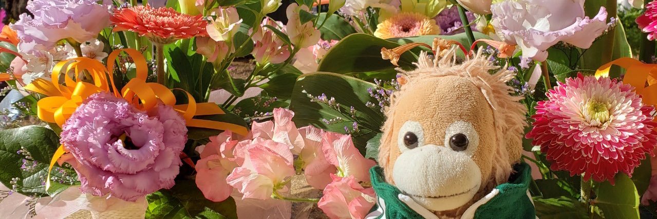 seabeefish's profile banner image