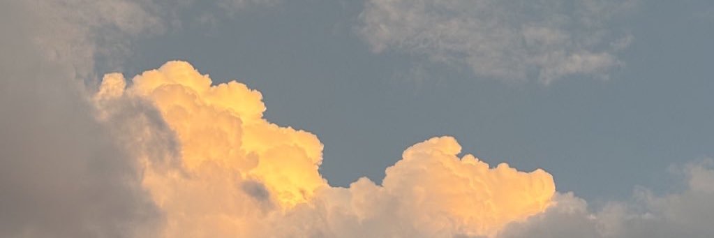 ⋆⭒˚｡⋆ banner