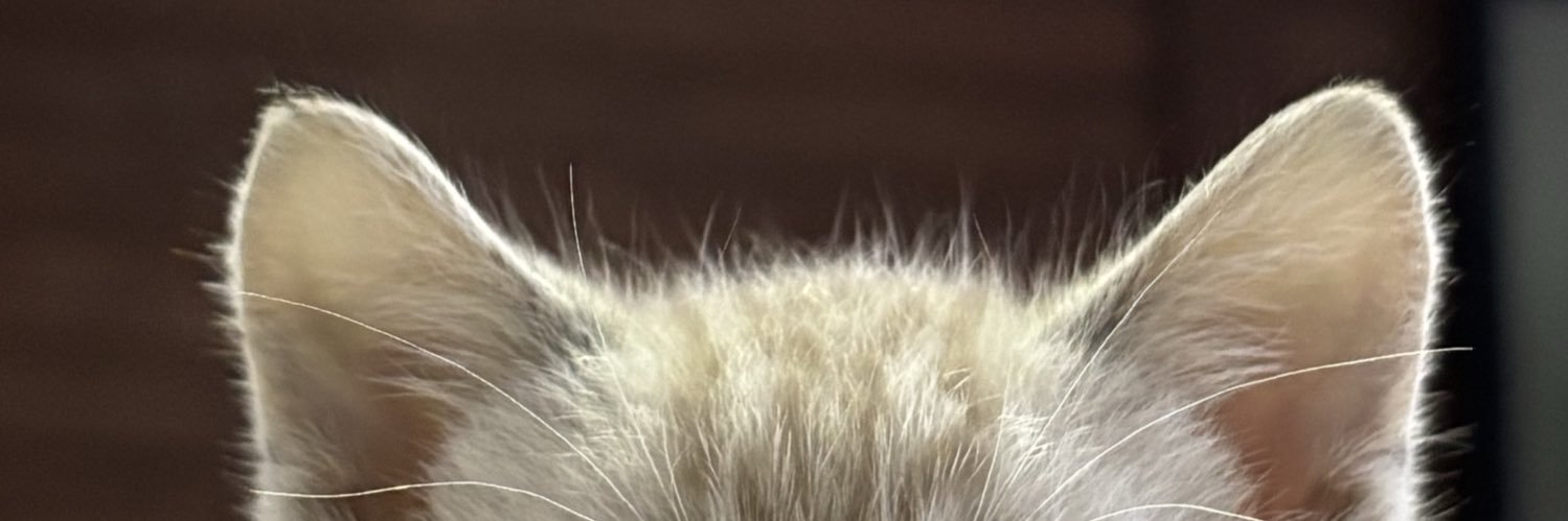 pinacooteca's profile banner image