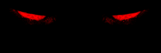 arrabaenya's profile banner image