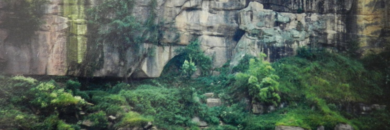 AnaP_7974's profile banner image