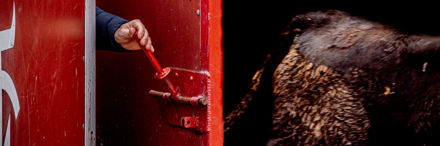 Eugenia Godoy banner